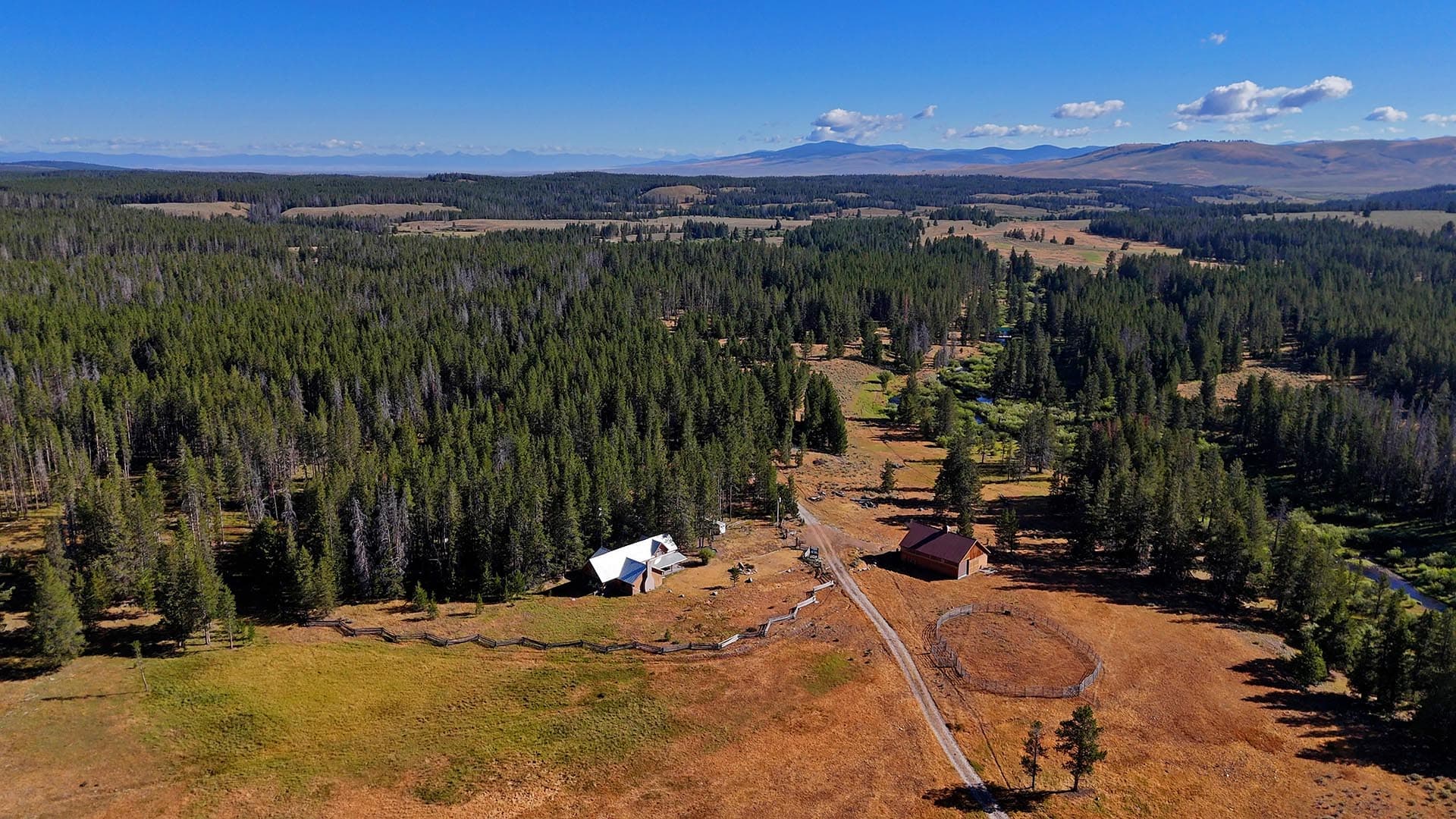 Aerial view of a pine forest with a dirt road leading to small cabins and a circular fenced area in a grassy field under a blue sky.