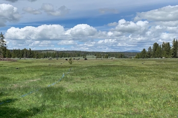 Cattle property for sale Montana Big Hole River Ranch