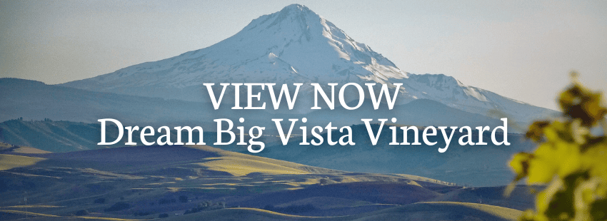 Dream Big Vista Vineyard Call to Action