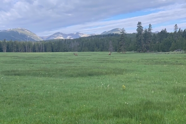 big game hunting land for sale Montana Big Hole River Ranch