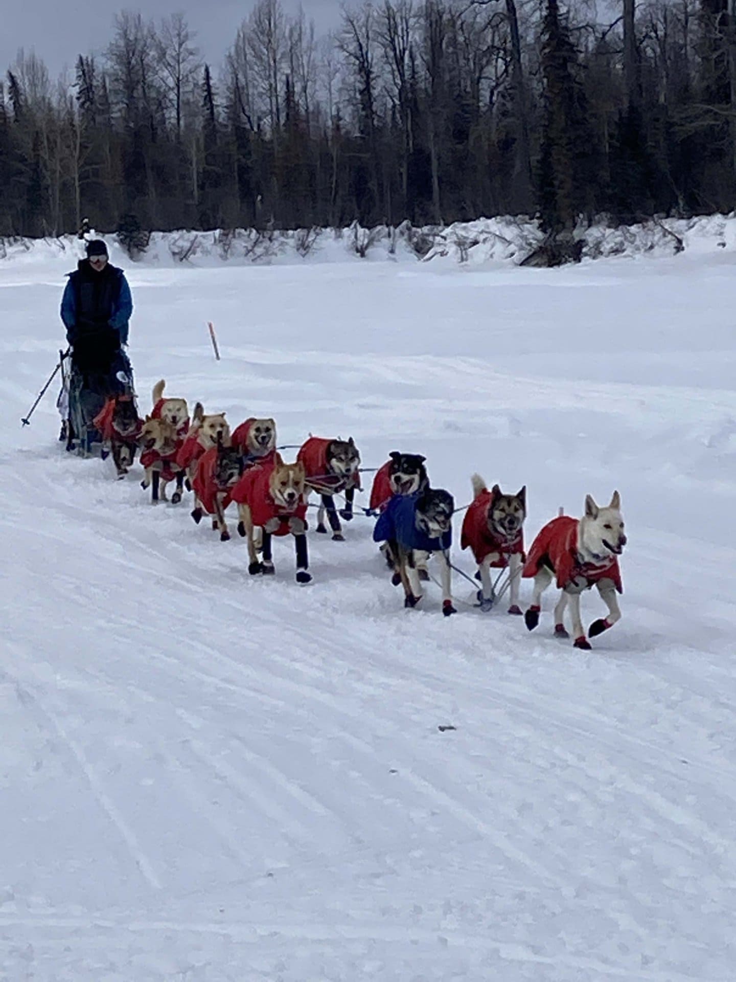 Bentalit Lodge Skwentna Alaska Fay Ranches