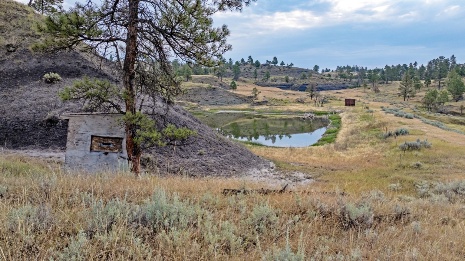 Crooked Creek Ranch | Montana Hunting Property | Fay Ranches