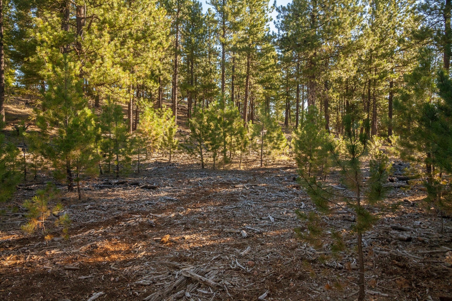 Allen Creek Hunting Retreat Prineville Oregon Fay Ranches