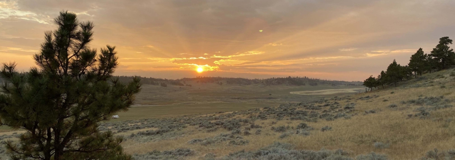 Crooked Creek Ranch | Montana Hunting Property | Fay Ranches