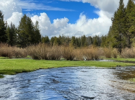 montana fishing property for sale Big Hole River Ranch