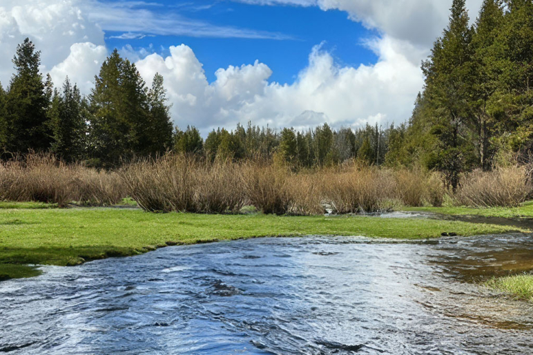 Fly Fishing Properties For Sale Trout Fishing Fay Ranches