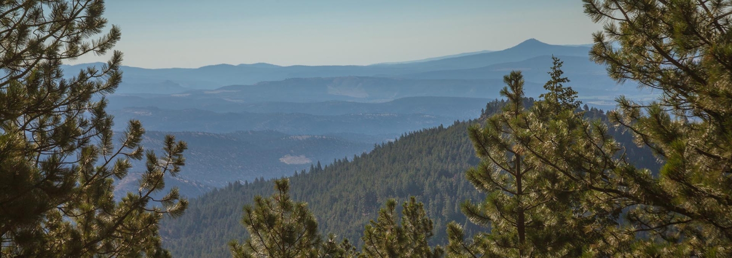 Allen Creek Hunting Retreat Prineville Oregon Fay Ranches