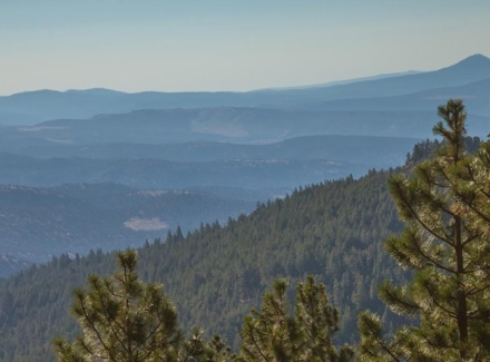 oregon property for sale allen creek hunting retreat