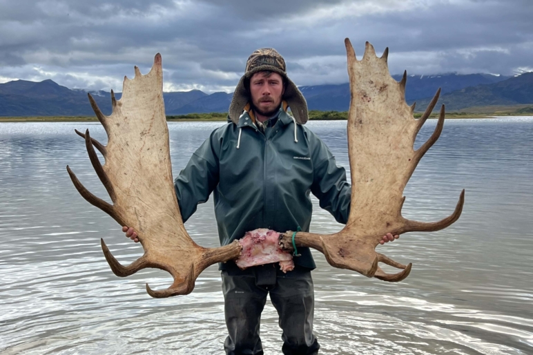 sam shelton ranch sales moose antlers cropped