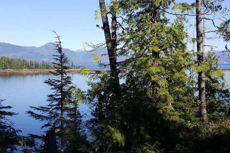 Alaska Properties For Sale Land Wilderness Sporting Pursuits Fay