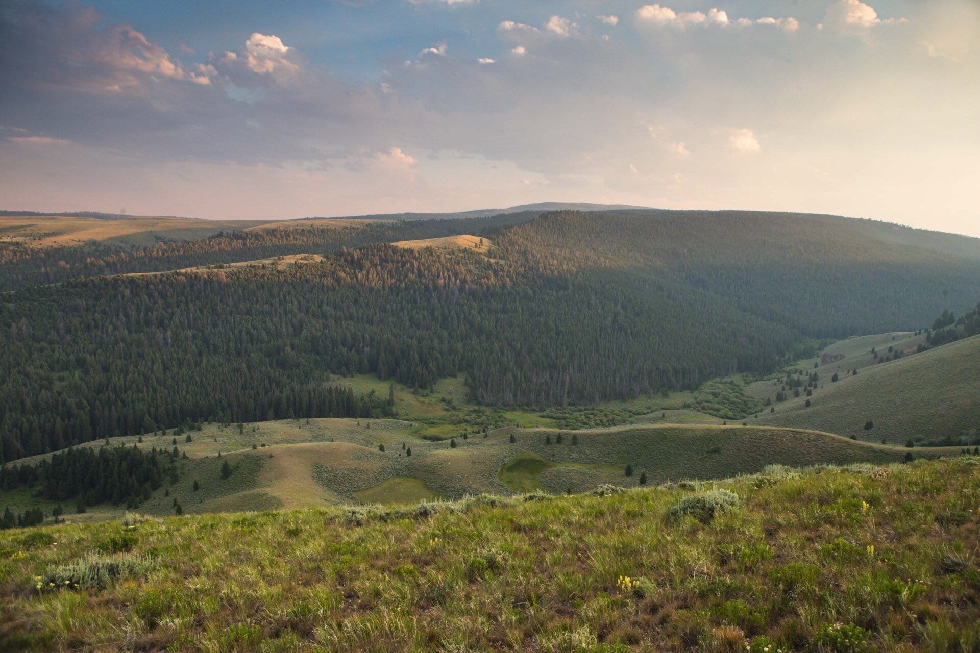 beaverhead deerlodge montana elk canyon ranch