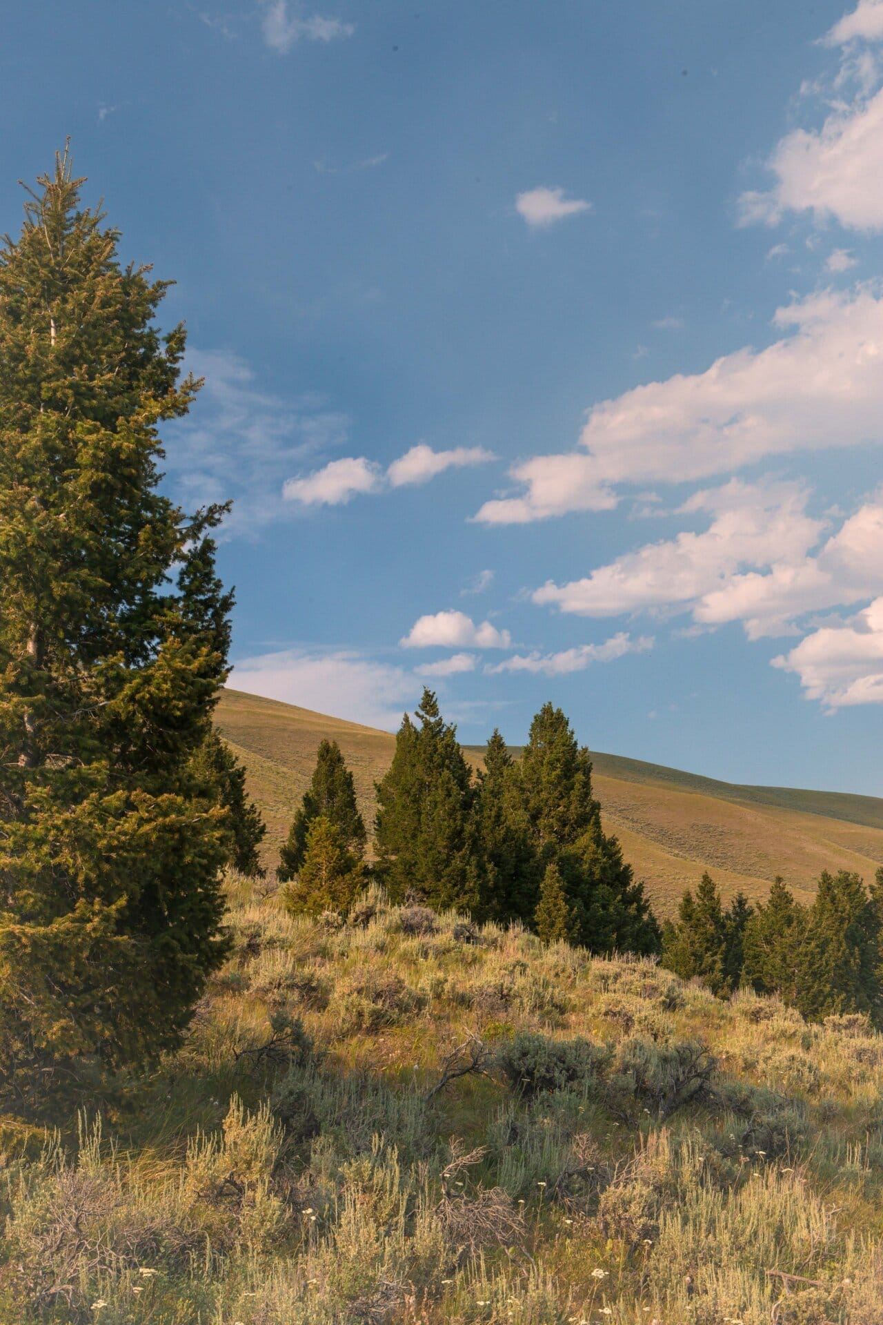 big property montana elk canyon ranch