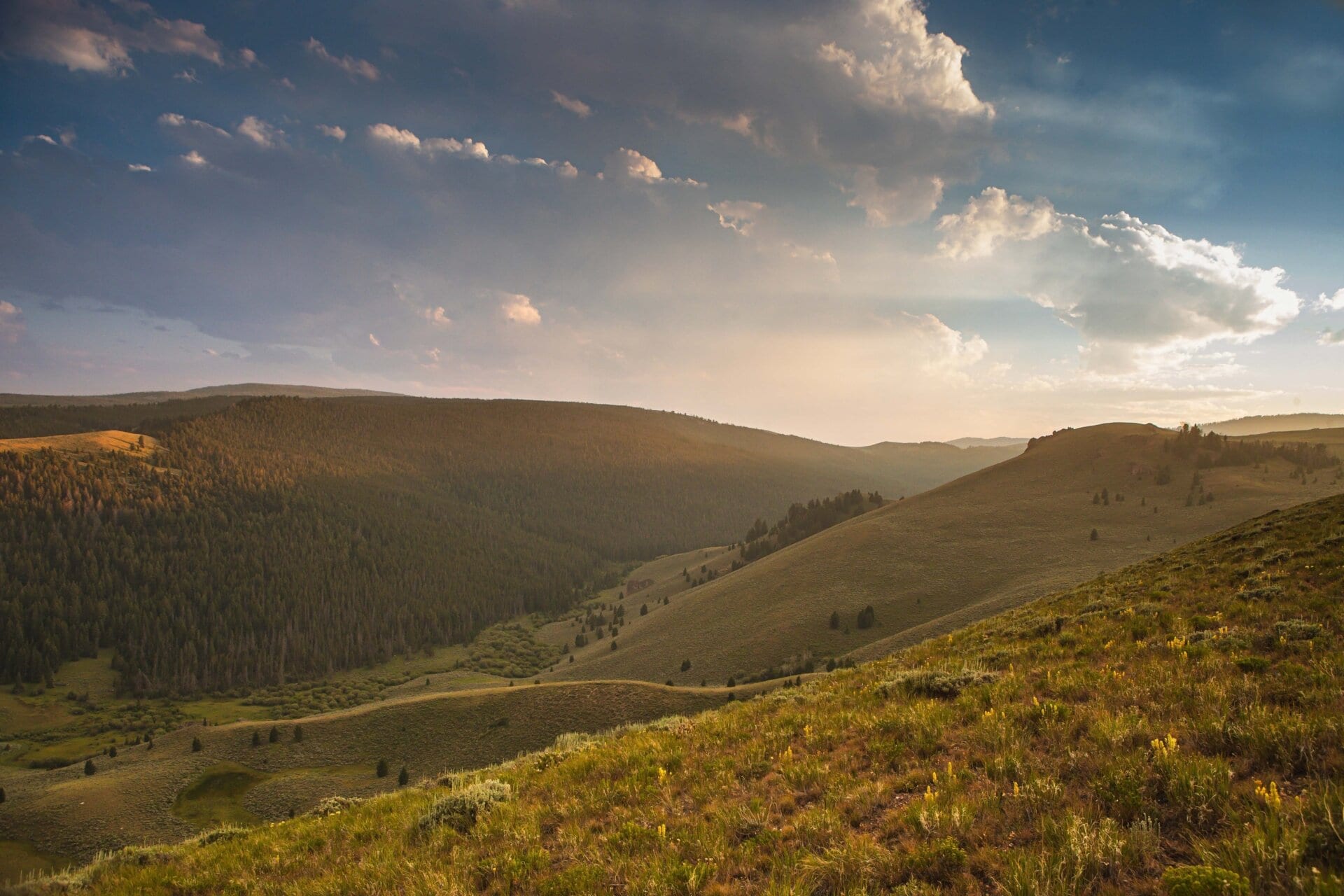 blm montana elk canyon ranch
