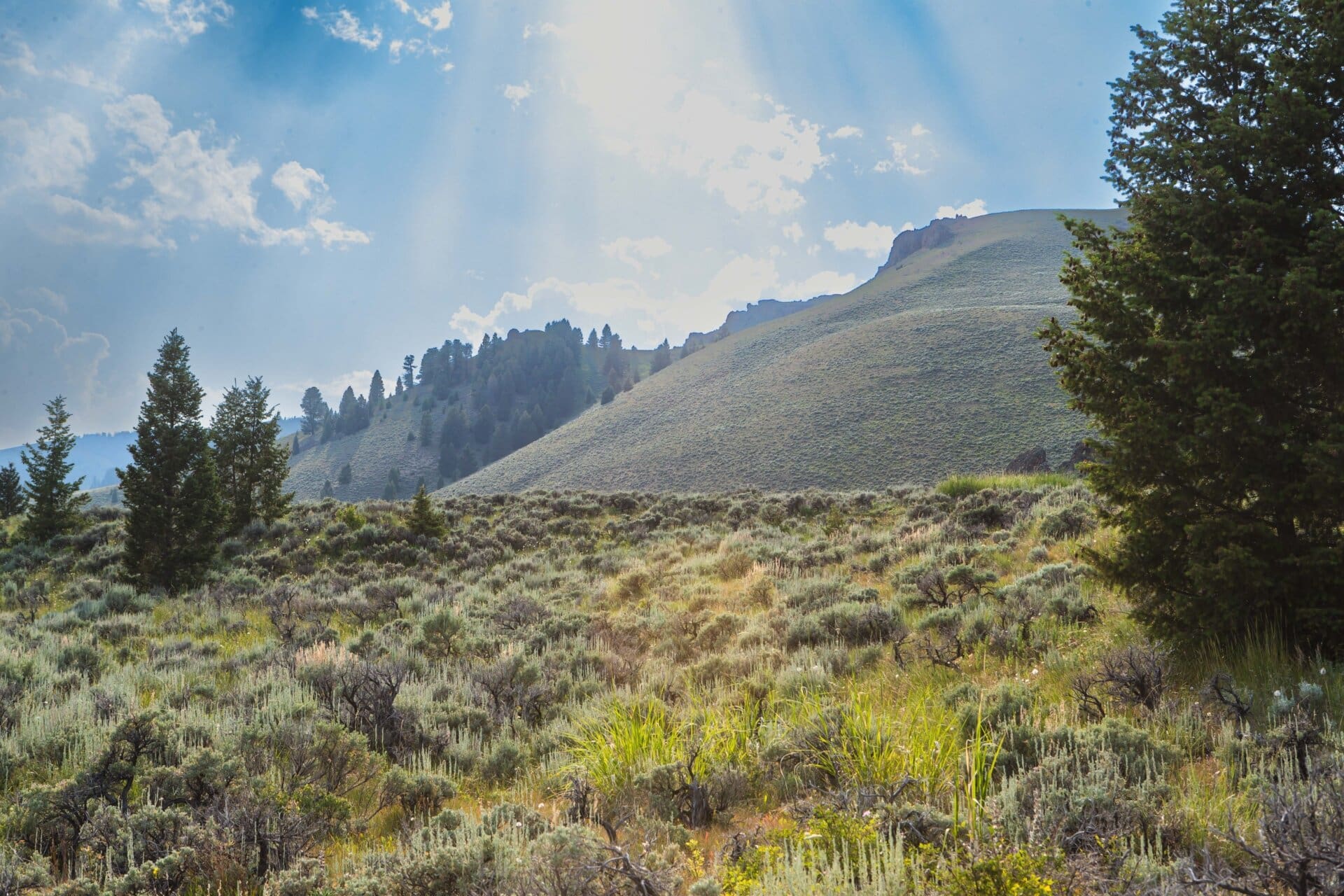 creek montana elk canyon ranch