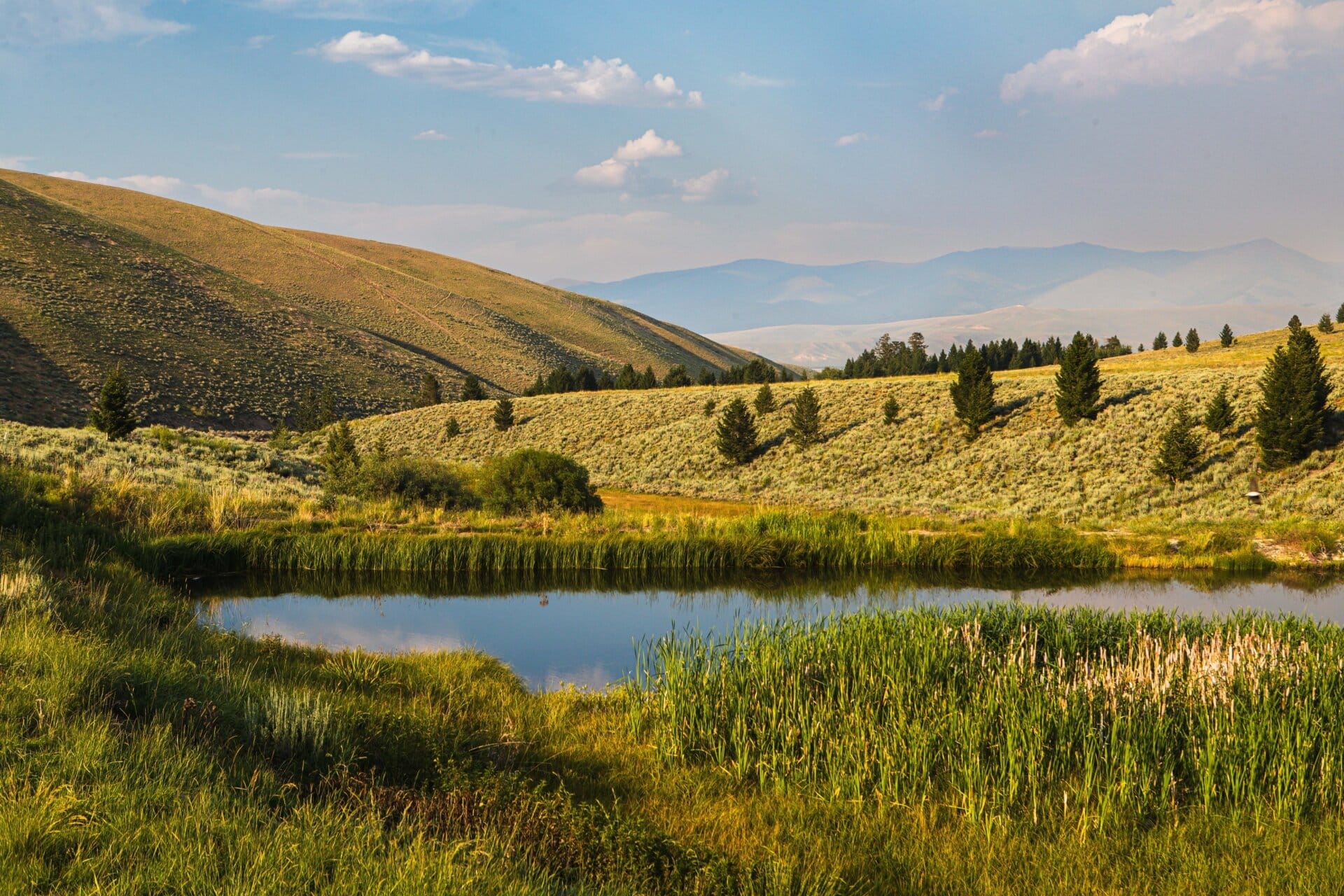 four ponds montana elk canyon ranch