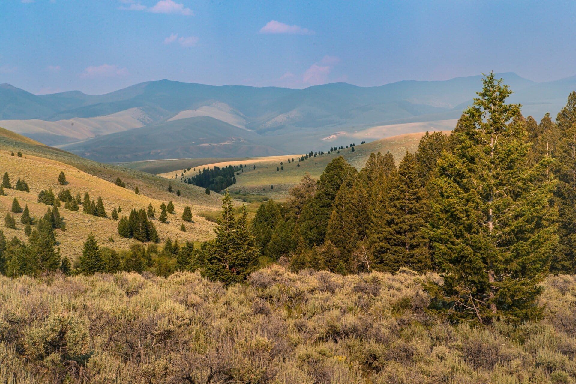 hunting land for sale montana elk canyon ranch