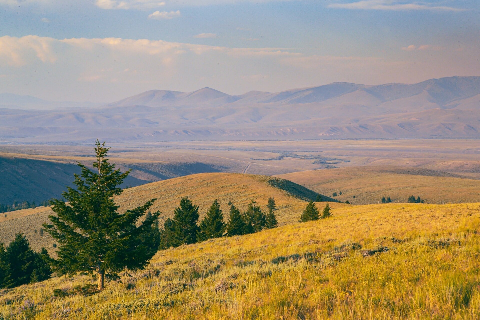 lots of space montana elk canyon ranch