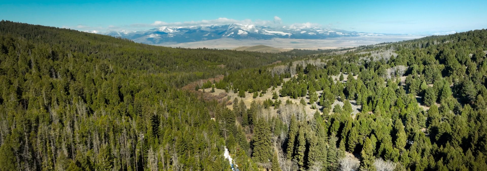 montana hunting property for sale burnt hollow ranch feature