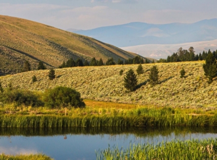 montana hunting property for sale elk canyon ranch