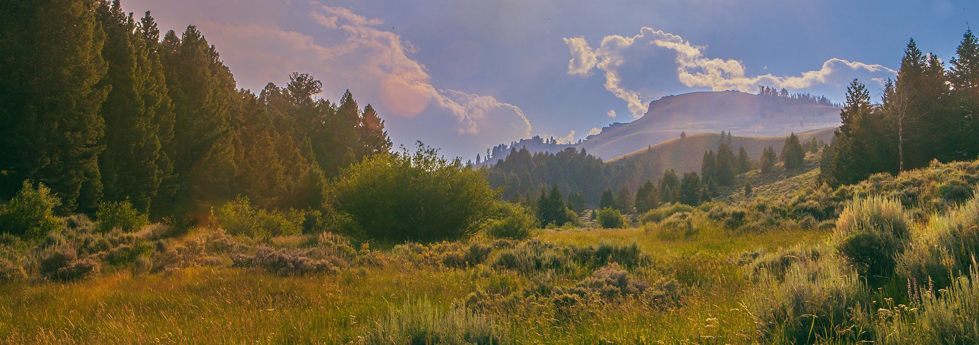 montana land for sale elk canyon ranch