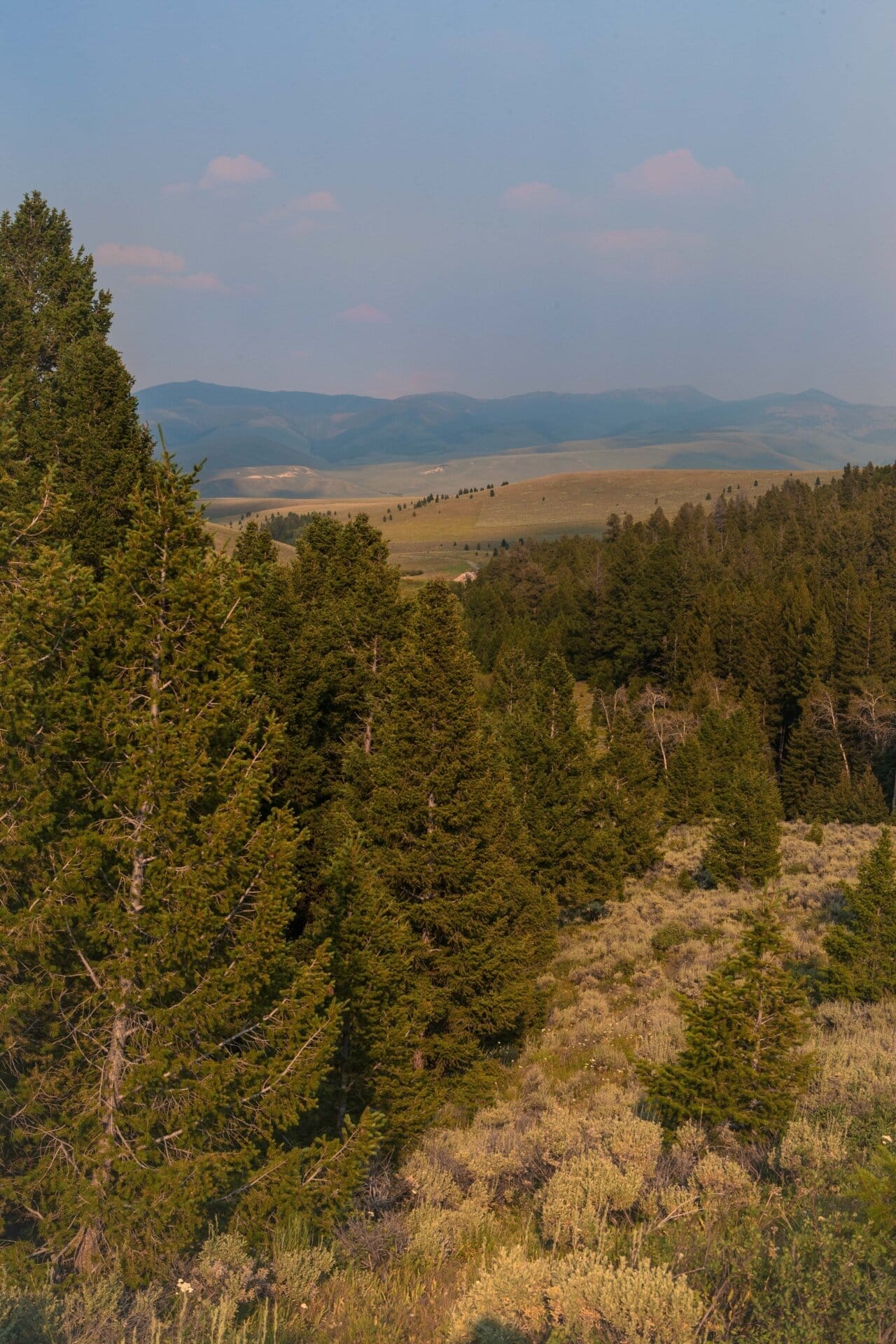 mountains montana elk canyon ranch