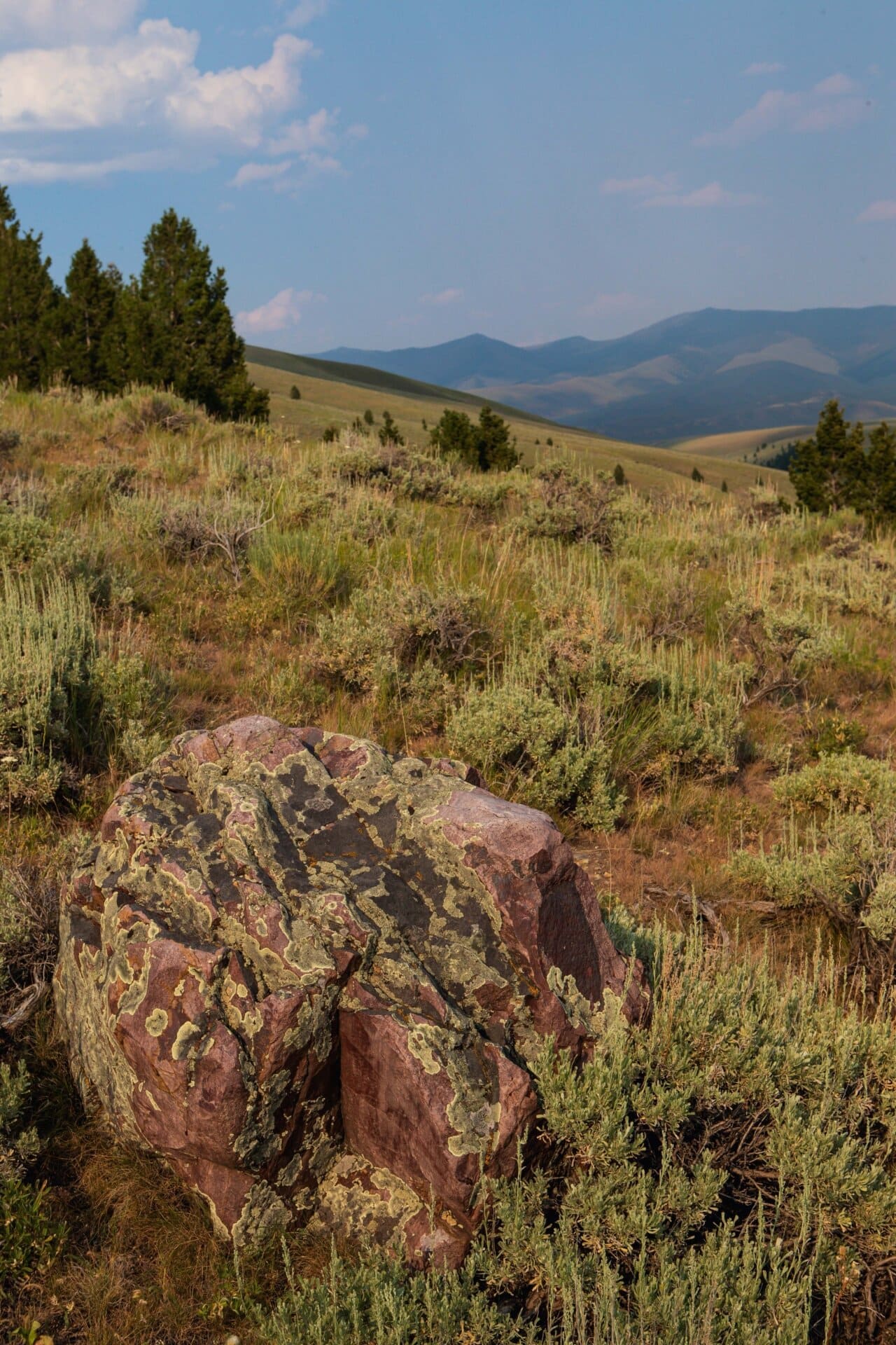 private montana elk canyon ranch
