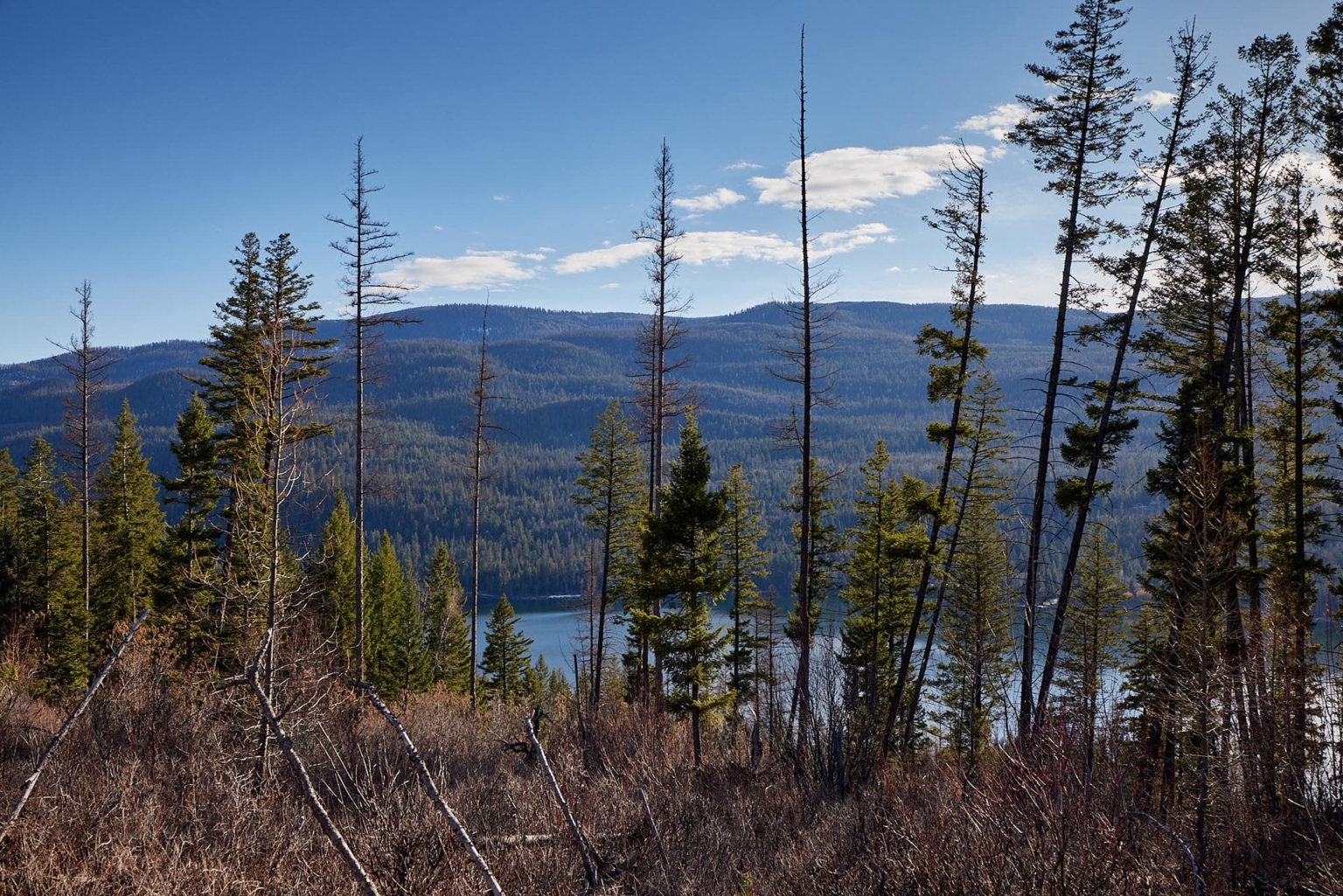 Swan Lake Overlook | Bigfork Montana | Fay Ranches