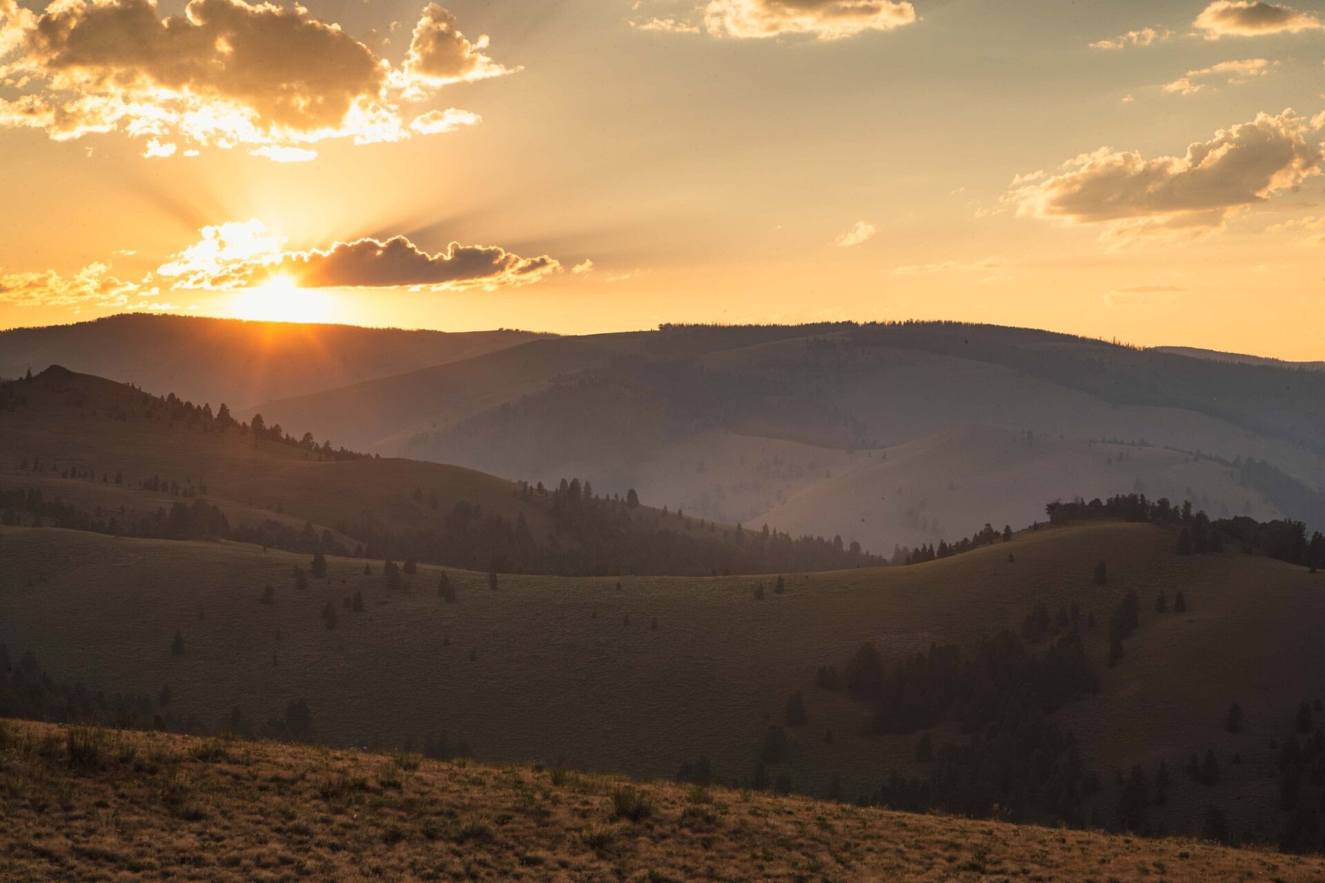 state land montana elk canyon ranch