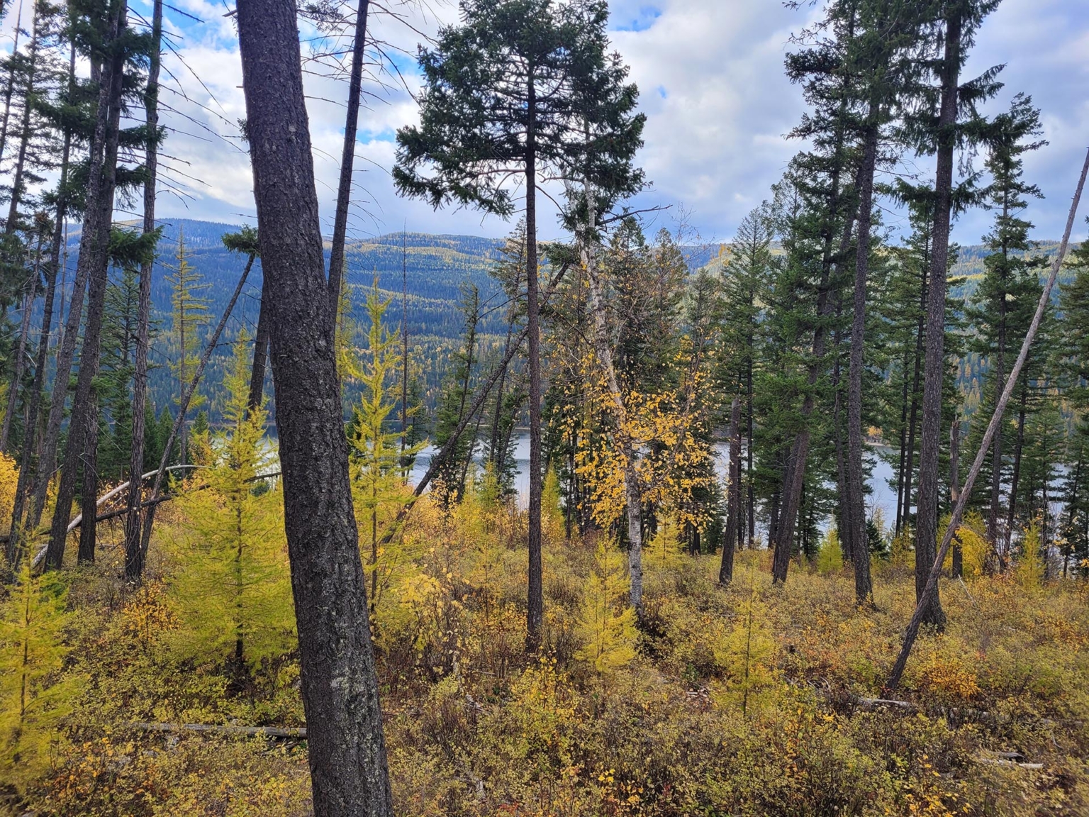 Swan Lake Overlook | Bigfork Montana | Fay Ranches