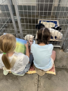 torrington animal shelter kelsea vaughan girls reading to dogs