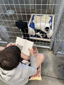 torrington animal shelter kelsea vaughan kid reading