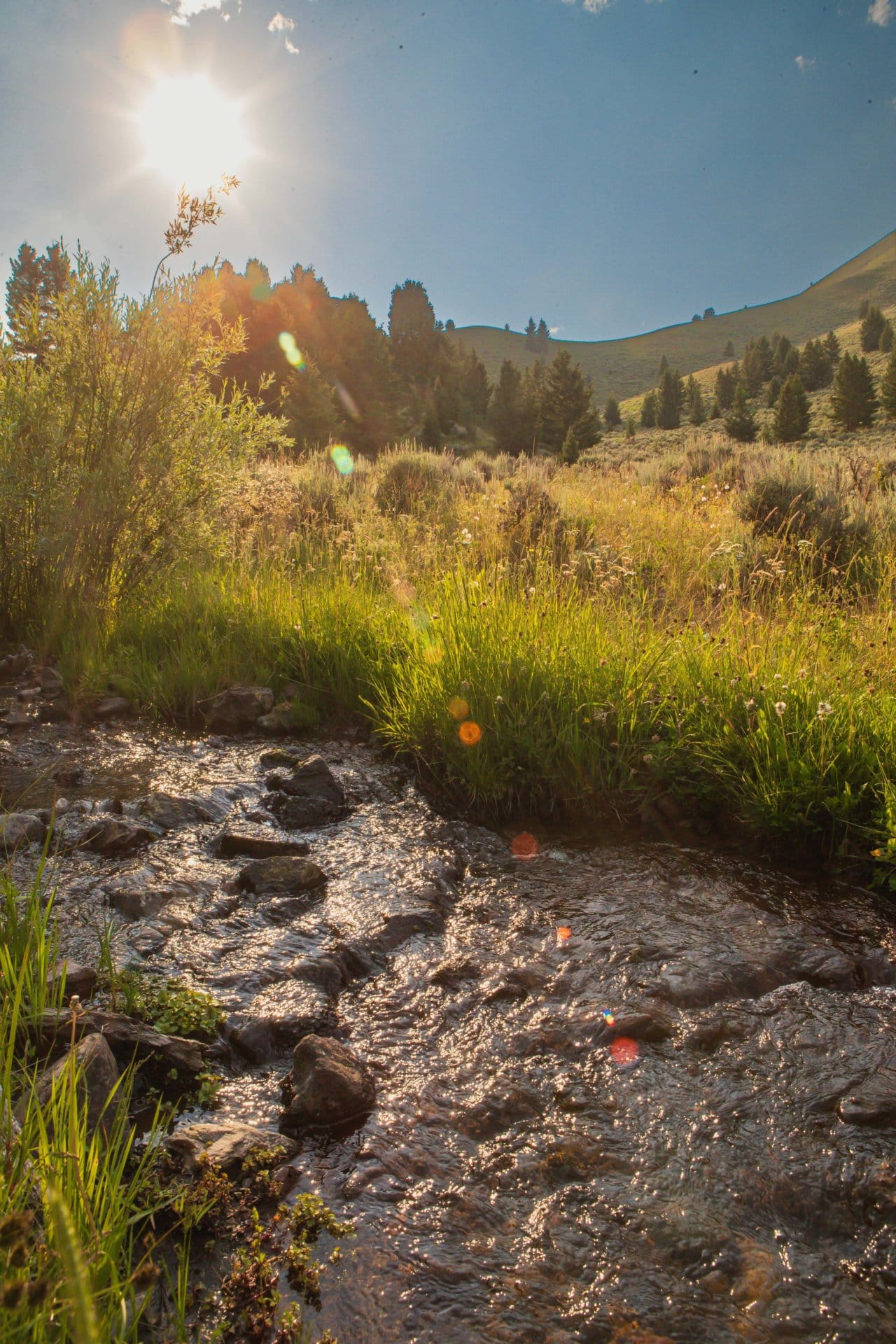 water montana elk canyon ranch