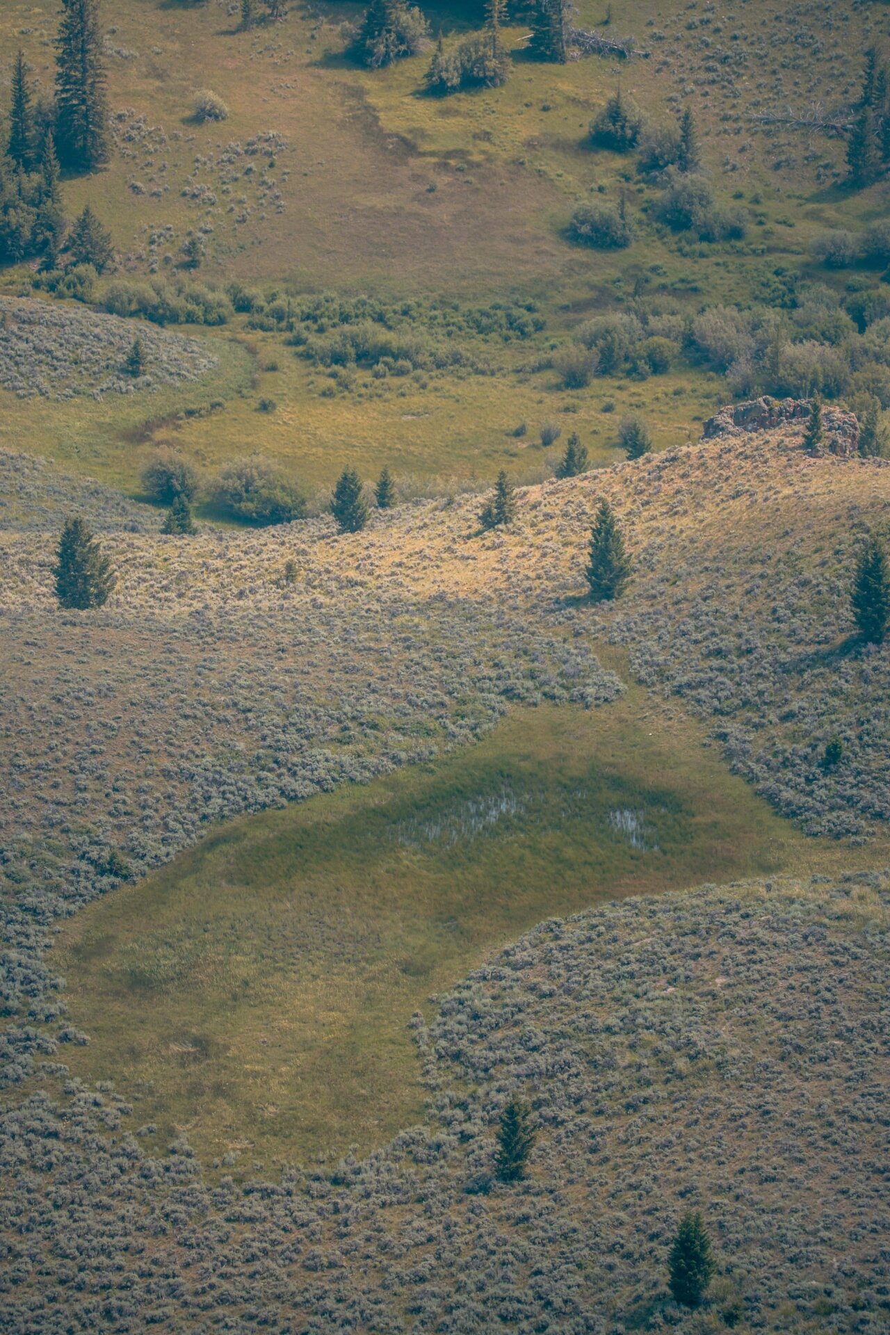 wooded montana elk canyon ranch