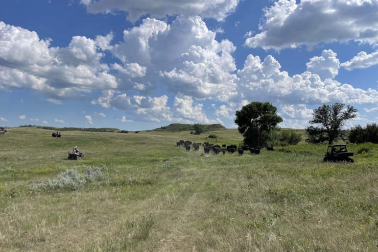 bridget bullinger north dakota broker family 4x4