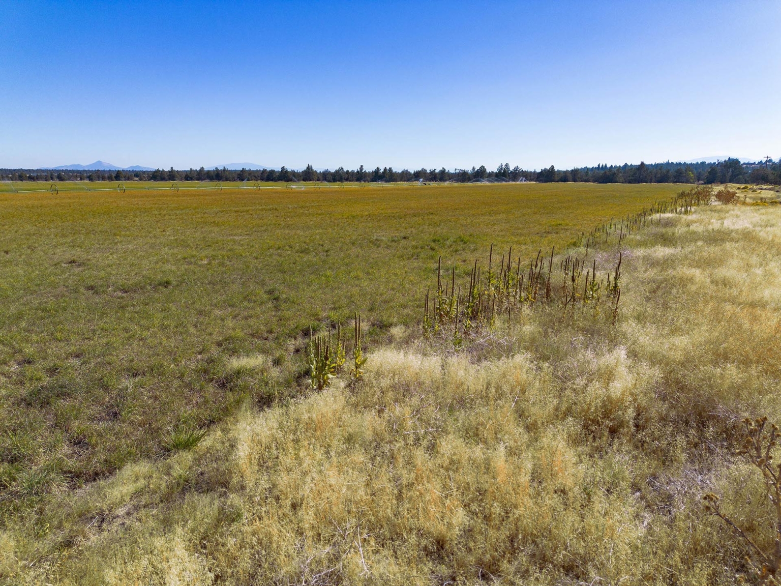 White Rock Loop Farm Field Tumalo Oregon Fay Ranches