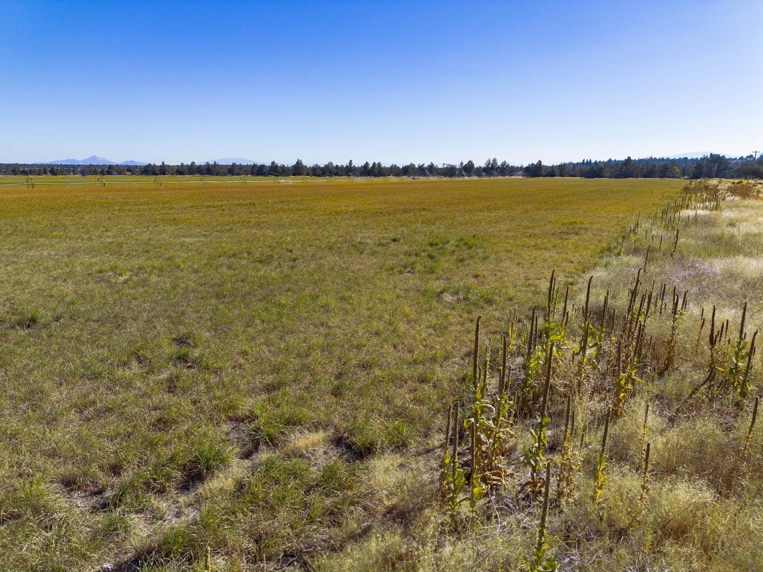 White Rock Loop Farm Field Tumalo Oregon Fay Ranches