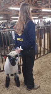 kaycee wyoming neil bangs ffa