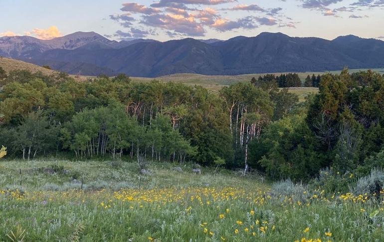 landscape montana bridger foothills