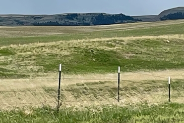 montana hunting land for sale cox hunting farm