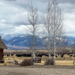 montana ranch for sale beaverhead river cattle ranch 3