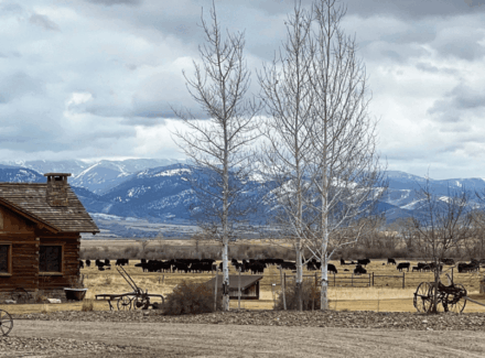montana ranch for sale beaverhead river cattle ranch 3