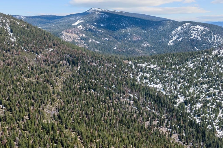 Pacific Northwest Ranch Land Properties For Sale | Fay Ranches