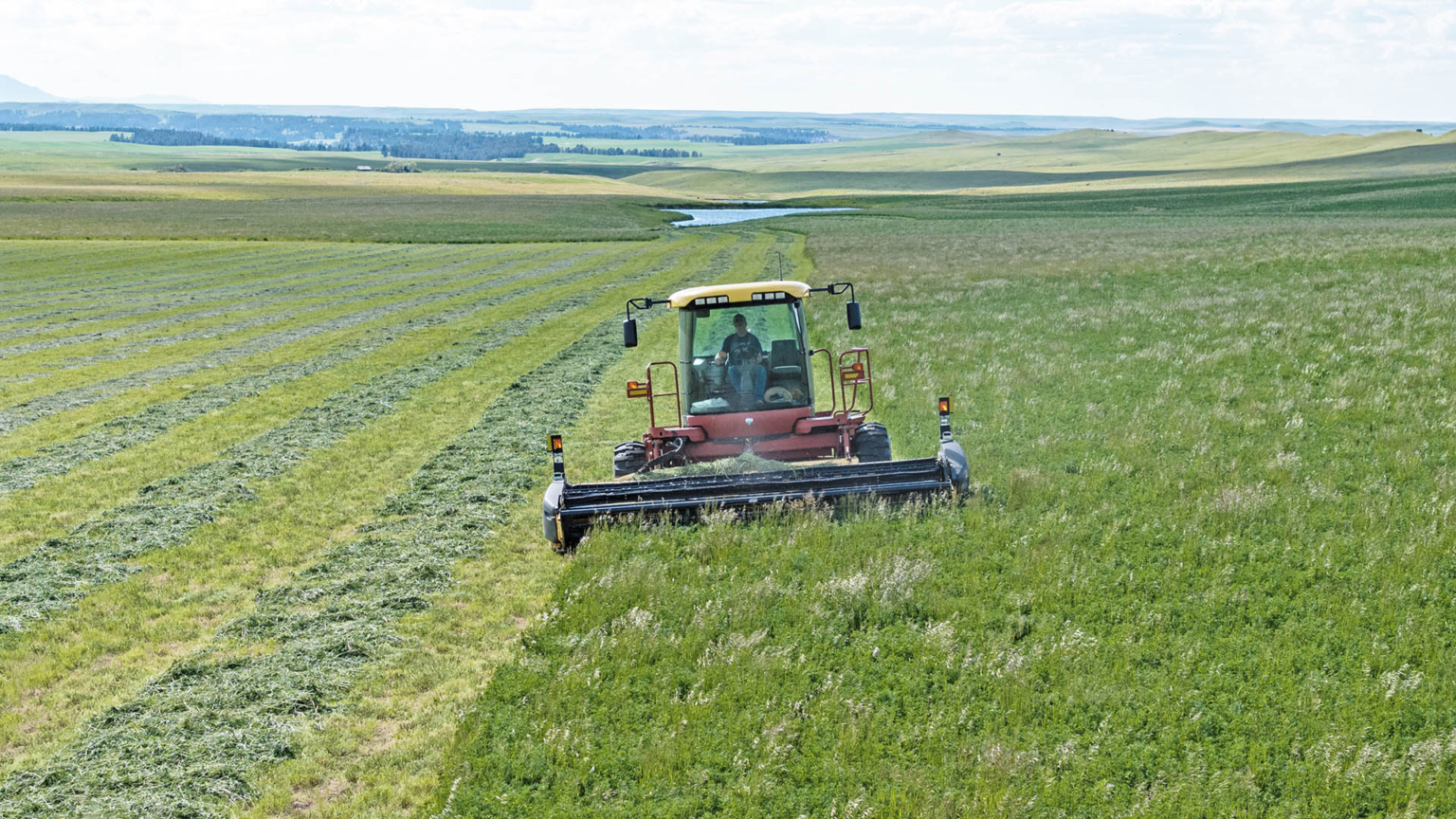 Plum Creek Ranch Lewistown Montana Fay Ranches