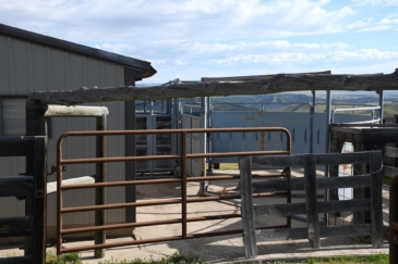 cattle ranch for sale montana noon bear ranch