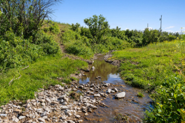 Plum Creek Ranch Lewistown Montana Fay Ranches