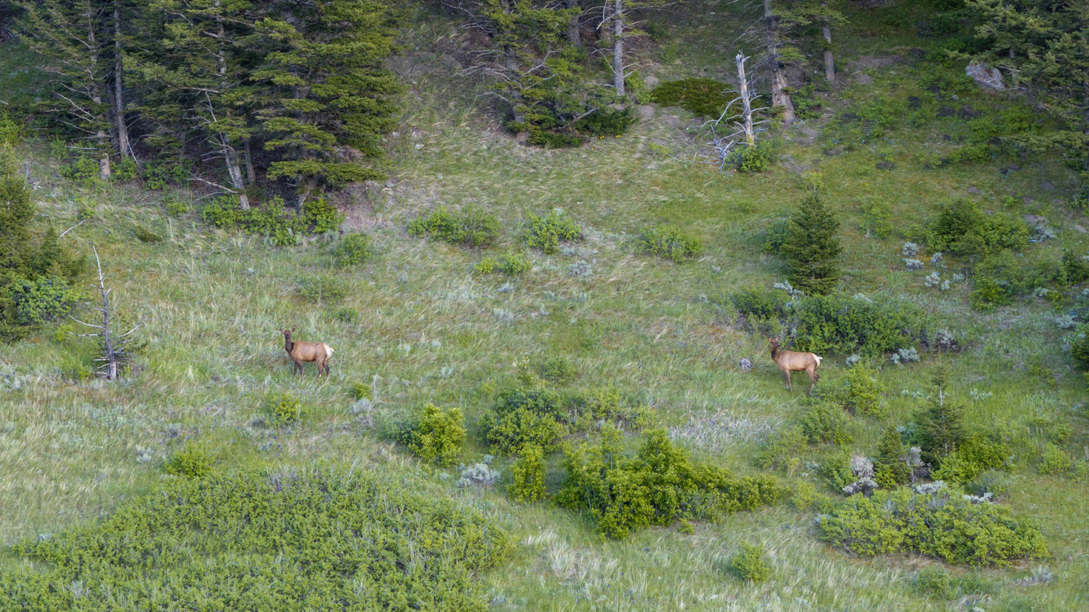 Castle Rock River Ranch | Montana Fishing Property | Fay Ranches