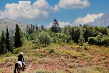 equestrian property for sale idaho grand view ranch
