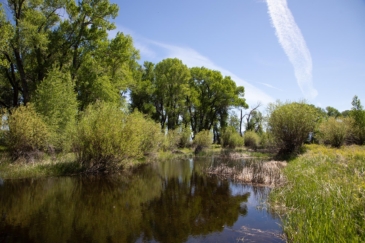 fly fishing property for sale wyoming saratoga north platte river ranch