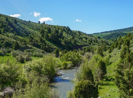 idaho ranches for sale heart l ranch