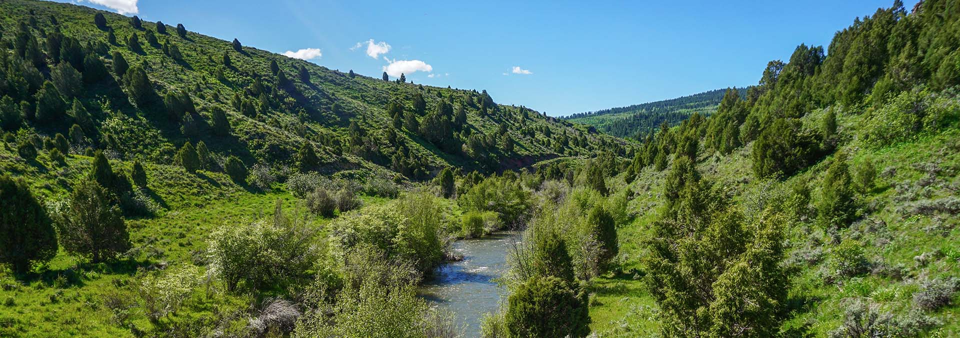 idaho ranches for sale heart l ranch